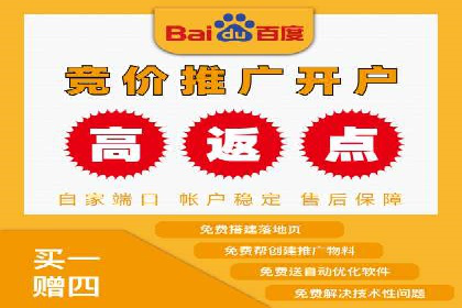 百度竞价投放技巧：行业领先企业的成功策略案例
